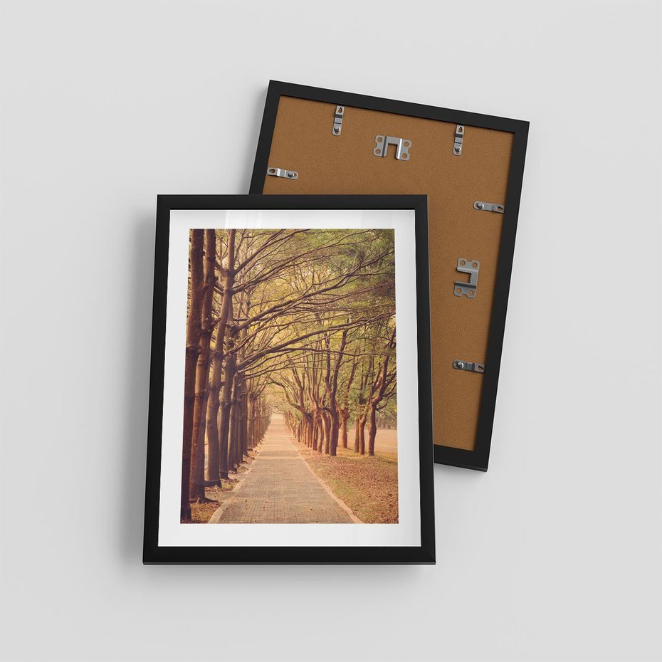 Plakat w ramie 30x40 - Wędrówka między drzewami - droga, drzewa - rama czarna