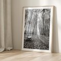 Plakat w ramie 50x70 - Spadające Liście - czarno białe zdjecie, park - rama drewno