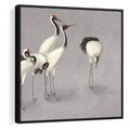 Obraz w ramie 50x50 - Spojrzenie wstecz w pędzlu - szkic rysunek, japońskie żurawie - rama czarna