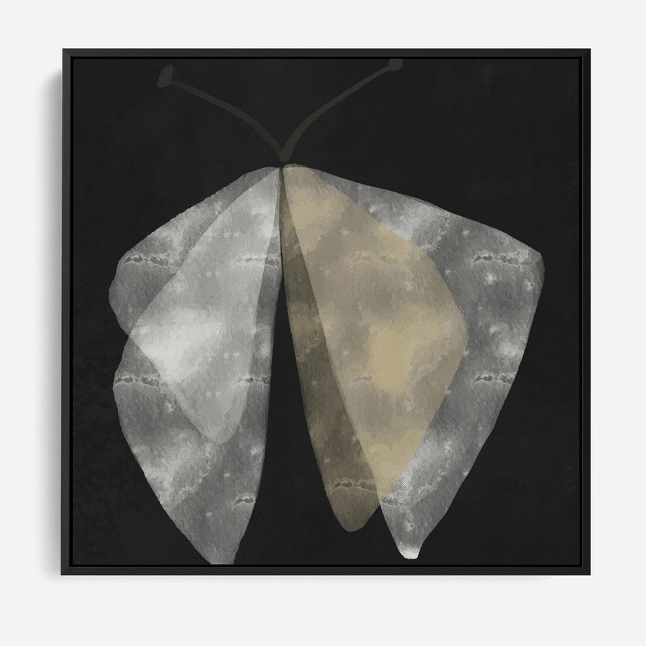 Obraz w ramie 50x50 - Obce Powidoki - abstrakcyjna ćma, mroczna atmosfera - rama czarna