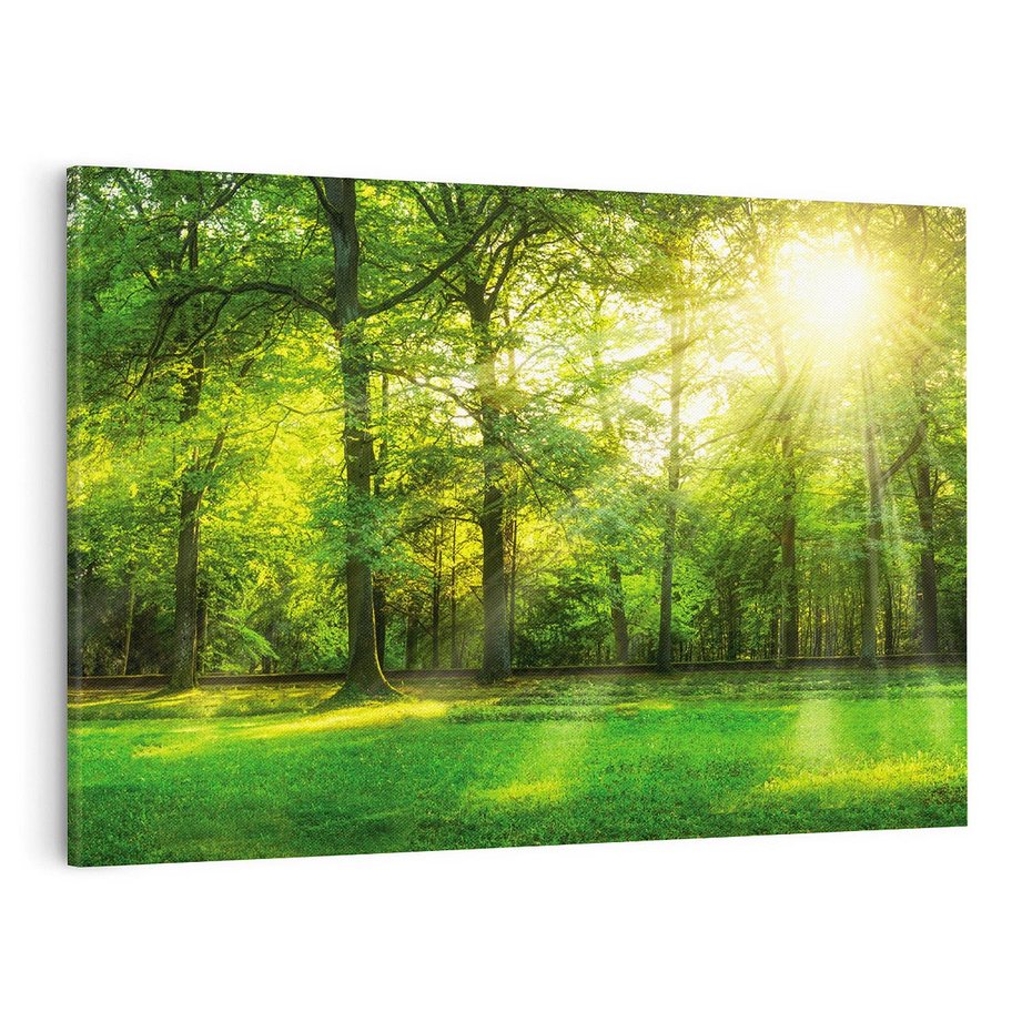 Obraz na płótnie 120x80 - Moc lasu - las, drzewa