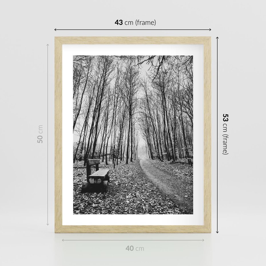 Plakat w ramie 40x50 - Spadające Liście - czarno białe zdjecie, park - rama drewno
