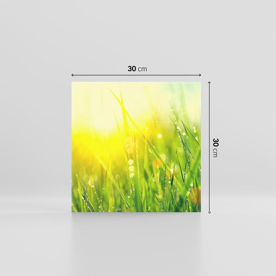 Obraz na płótnie 30x30 - Piękno Poranka - łąka, trawa