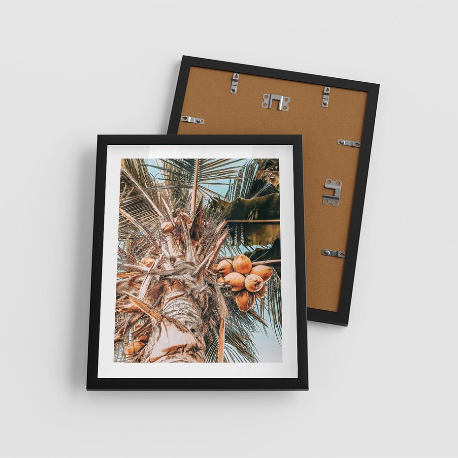 Plakat w ramie 40x50 - Tropikalna Palma: Fotografia z Kokosami - palma kokosowa, kokosy - rama czarna