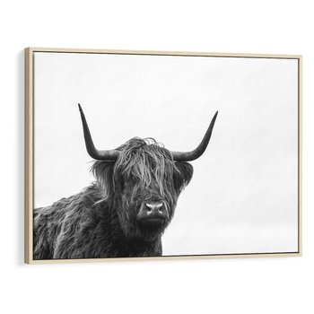 Obraz w ramie 100x70 - Moc i Spokój - amerykańskie bydło, byk - rama drewno