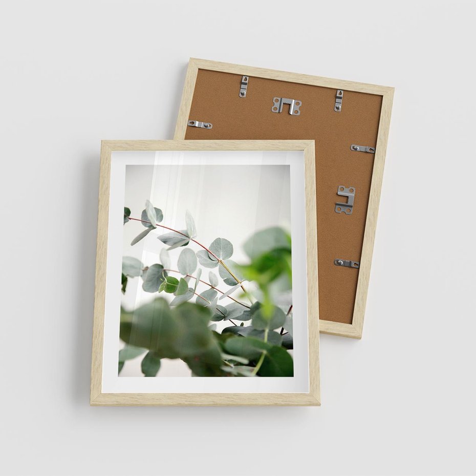 Plakat w ramie 40x50 - Zielony Świat Eukaliptusa - eukaliptus, fotografia - rama drewno