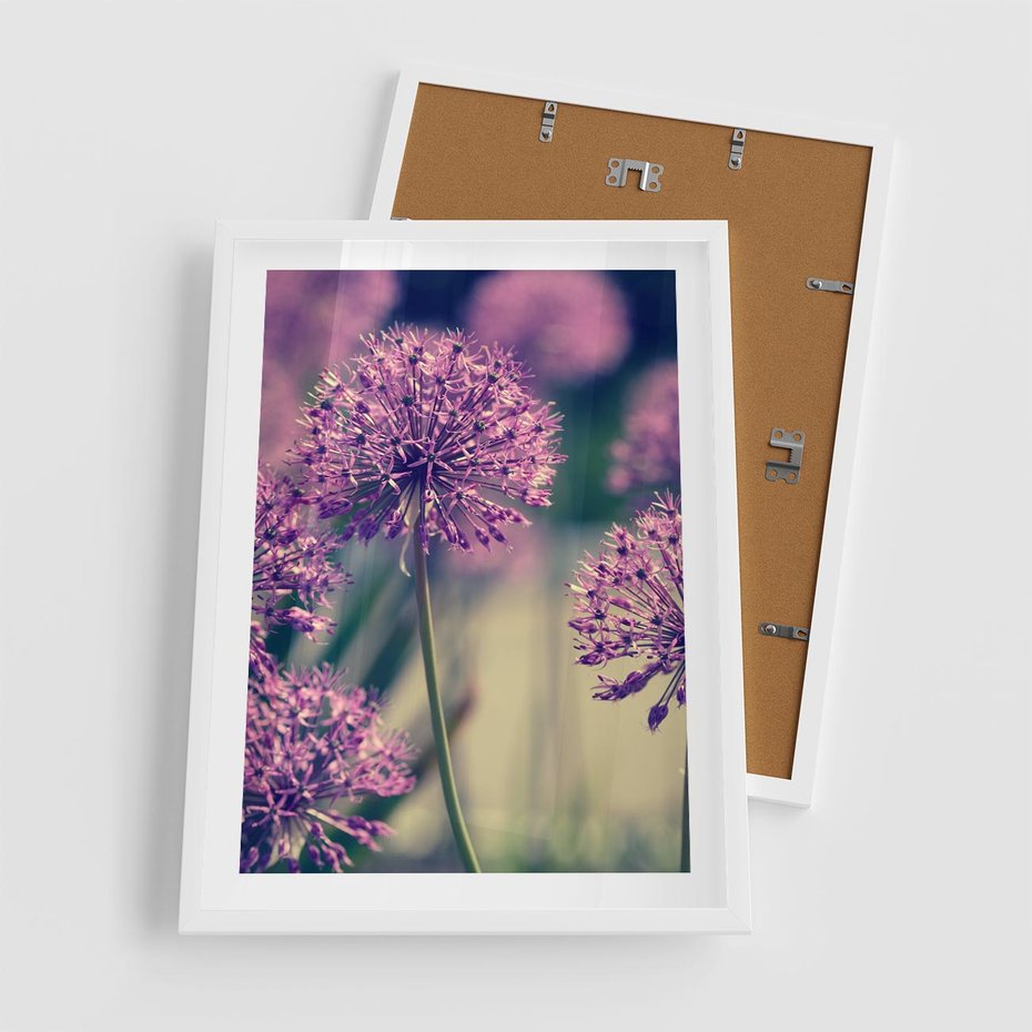 Plakat w ramie 50x70 - Kwiatowa łąka w pełnym rozkwicie - kwiaty, łąka - rama biała