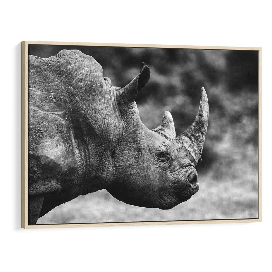 Obraz w ramie 120x80 - Potęga Afryki - czarno biała fotografia, zbliżenie na postać nosorożca - rama drewno
