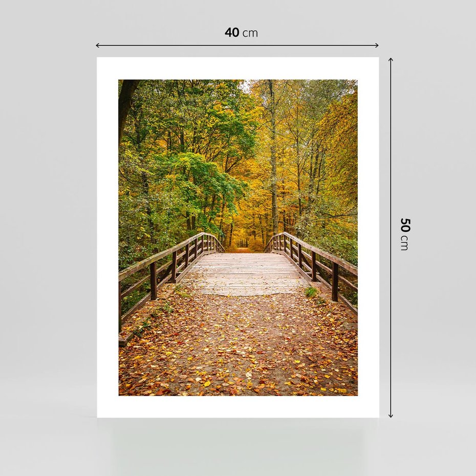 Plakat bez ramy 40x50 - Spacer Ścieżką w Las - ścieżka, spacer