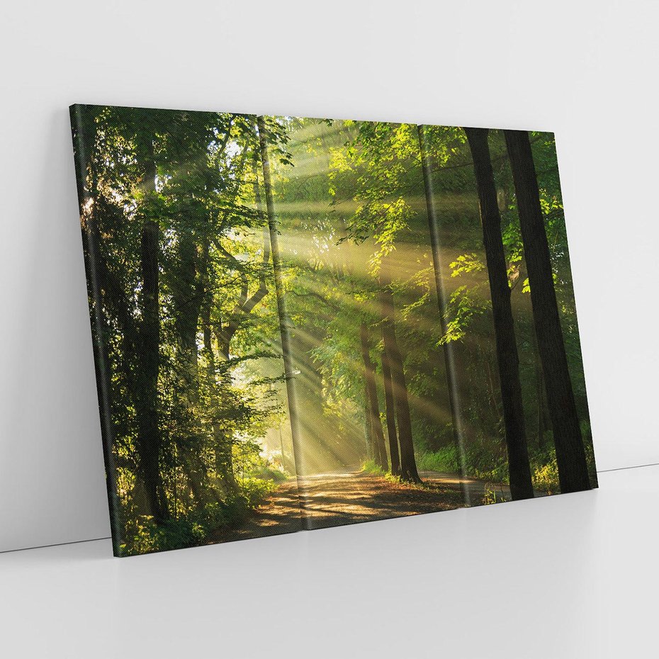 Obraz na płótnie 120x80 - Siła Natury: Las i Drzewa - las, drzewa