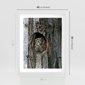 Plakat w ramie 40x50 - Tajemniczy W świecie Nocy - sowa, dziupla - rama biała
