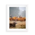 Plakat w ramie 40x50 - Malownicza Harmonia - jelenie, jesień - rama biała