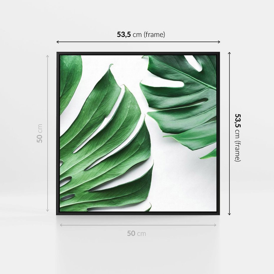 Obraz w ramie 50x50 - Monstera - Liście Kwiaty - monstera, liście - rama czarna