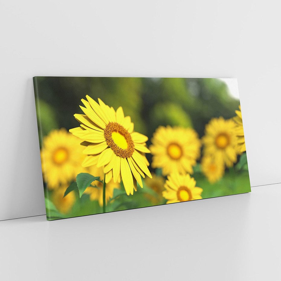 Obraz na płótnie 140x70 - Kwiatowa łąka - kwiaty, łąka