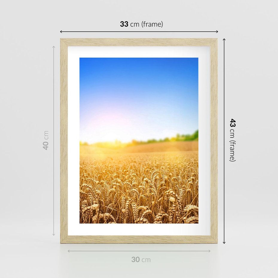 Plakat w ramie 30x40 - Żyzne Pola - pole, pszenicy - rama drewno