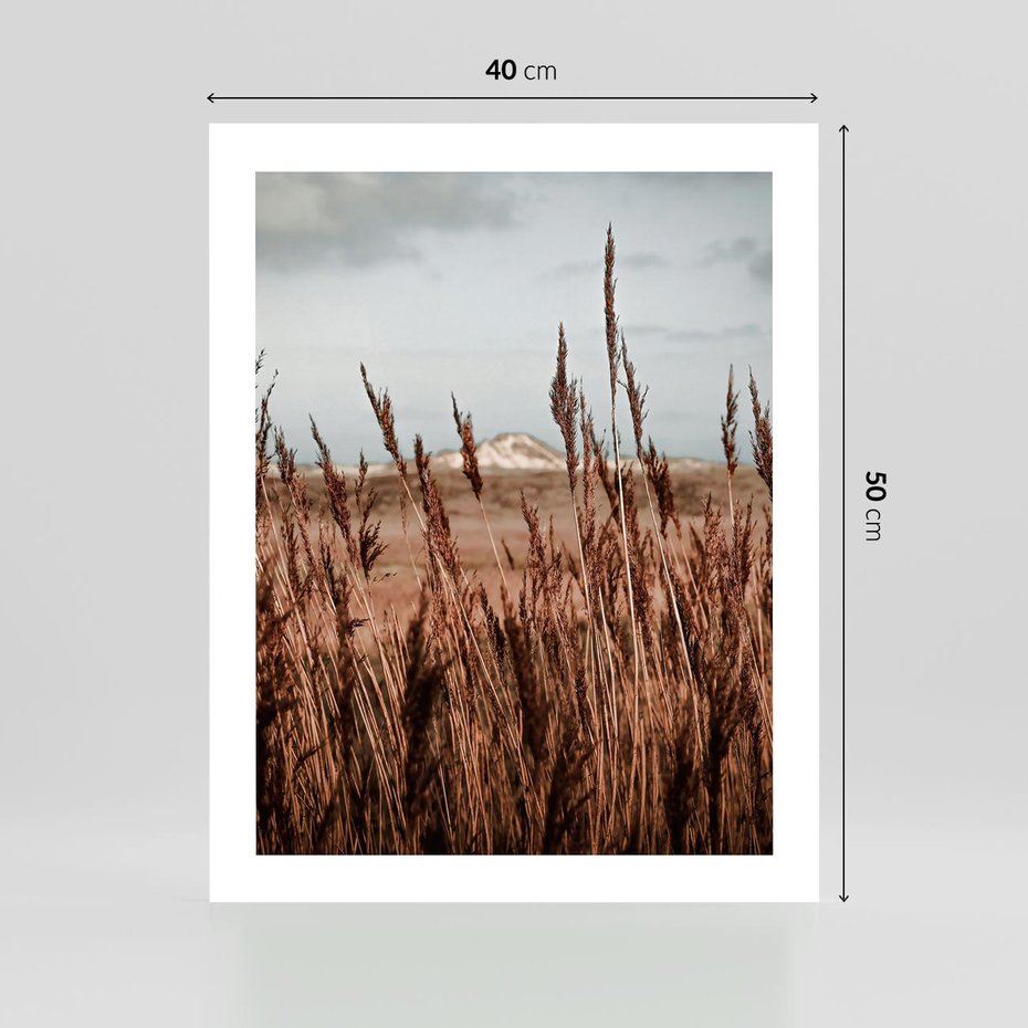Plakat bez ramy 40x50 - Wysokie Trawy w Górskim Krajobrazie - suche trawy, wysokie trawy
