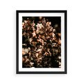 Plakat w ramie 40x50 - Sucha Kompozycja Kwiatów - suche kwiaty hortensji - rama czarna