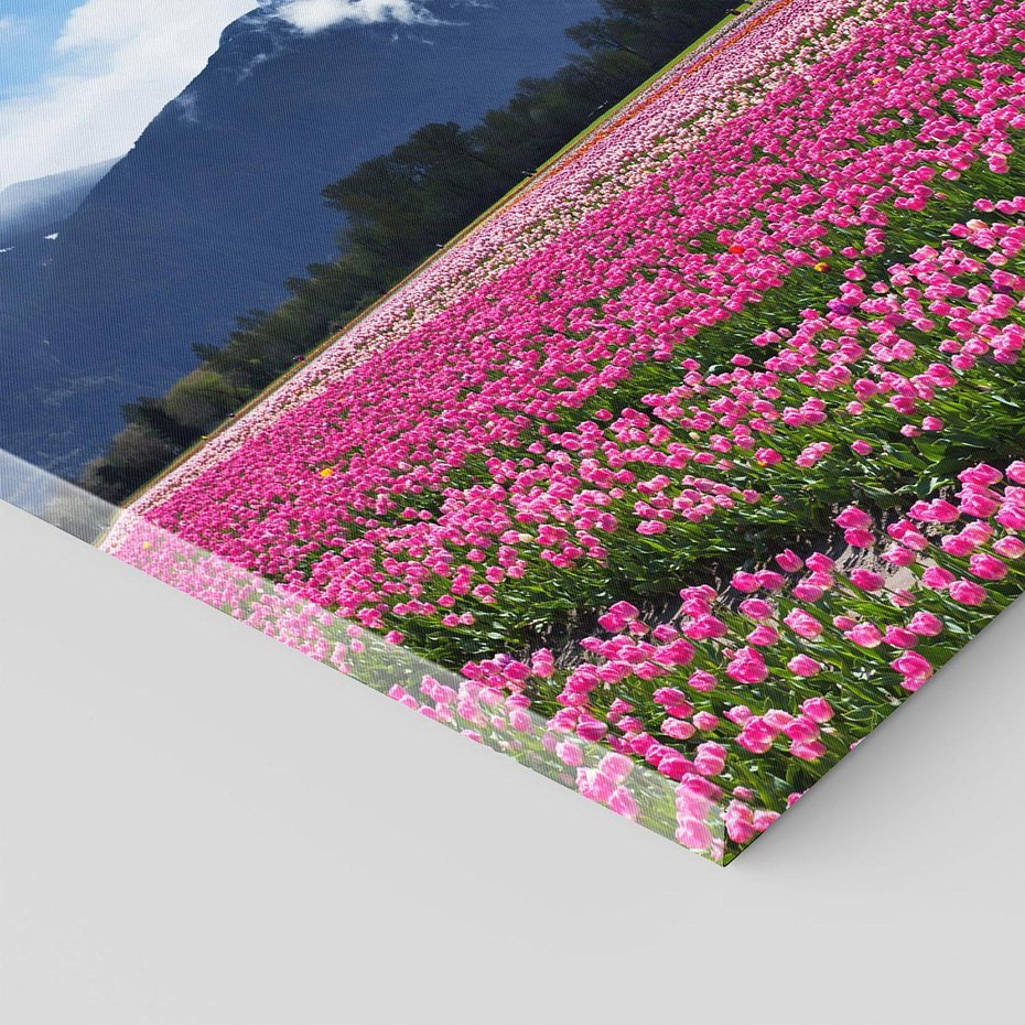 Obraz na płótnie 70x50 - Tulipany w malowniczym krajobrazie" - tulipany, krajobraz