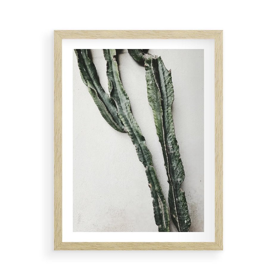 Plakat w ramie 50x70 - Zielona Roślina z Liśćmi - zielona roślina, liście - rama drewno