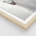 Plakat w ramie 40x50 - Elegancja białego konia - biały, koń - rama drewno