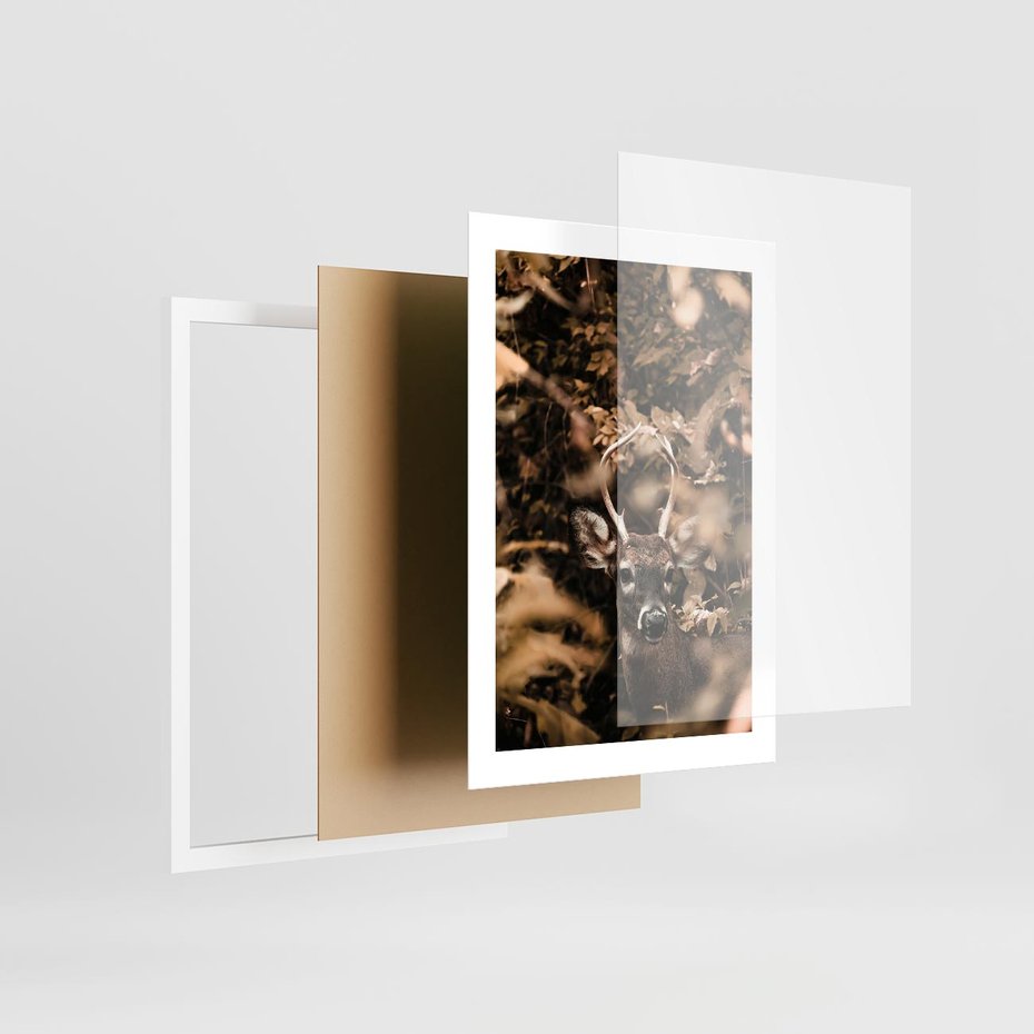 Plakat w ramie 30x40 - Jesienny Jeleń w Lesie - jeleń, w lesie - rama biała