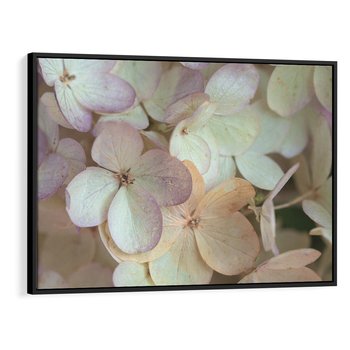 Obraz w ramie 100x70 - Kwiatowy taniec - kwiaty, hortensje - rama czarna