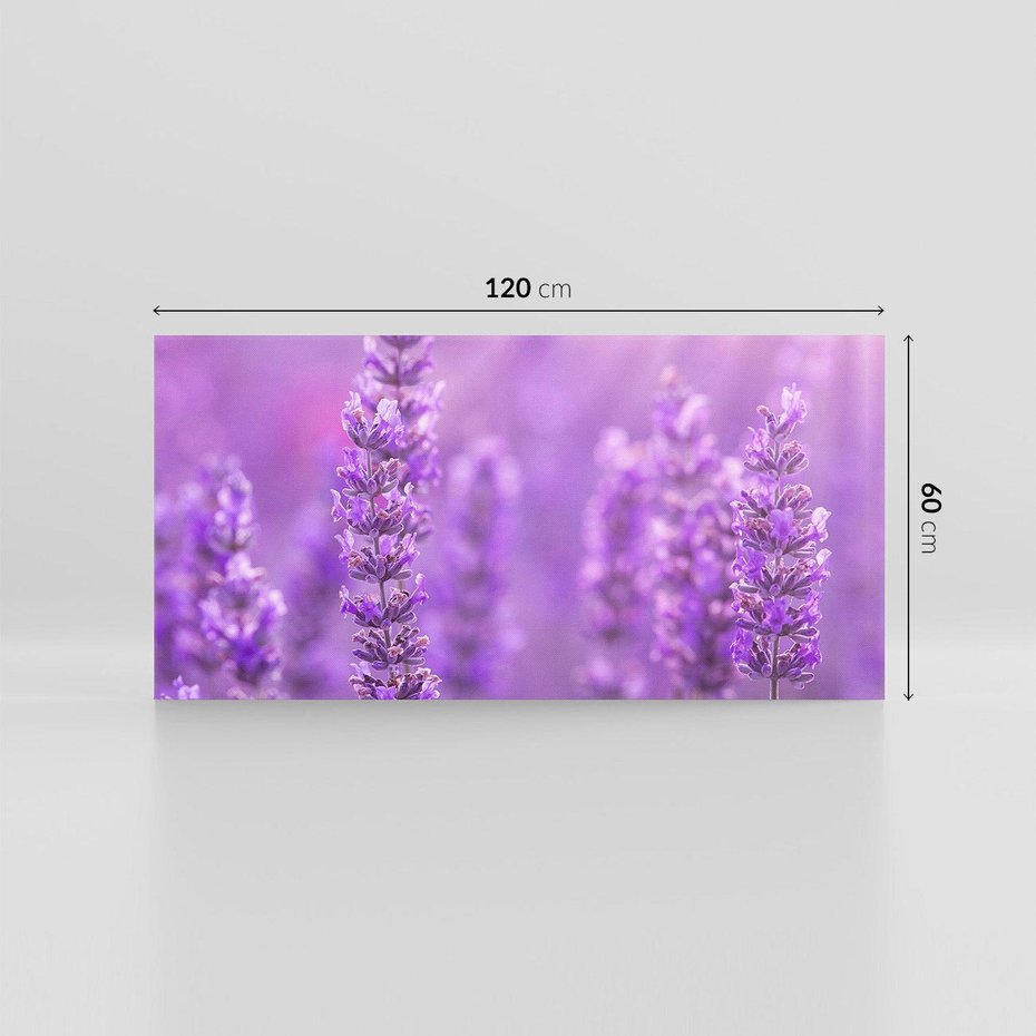 Obraz na płótnie 120x60 - Fioletowa harmonia lawendy - lawenda, fiolet