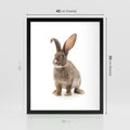 Plakat w ramie 40x50 - Delikatna Zwierzęca Uroda - królik, zwierzę - rama czarna