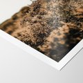 Plakat bez ramy 30x40 - Krajobraz W Naturze: Beże i Brązy - suche krzewy, natura