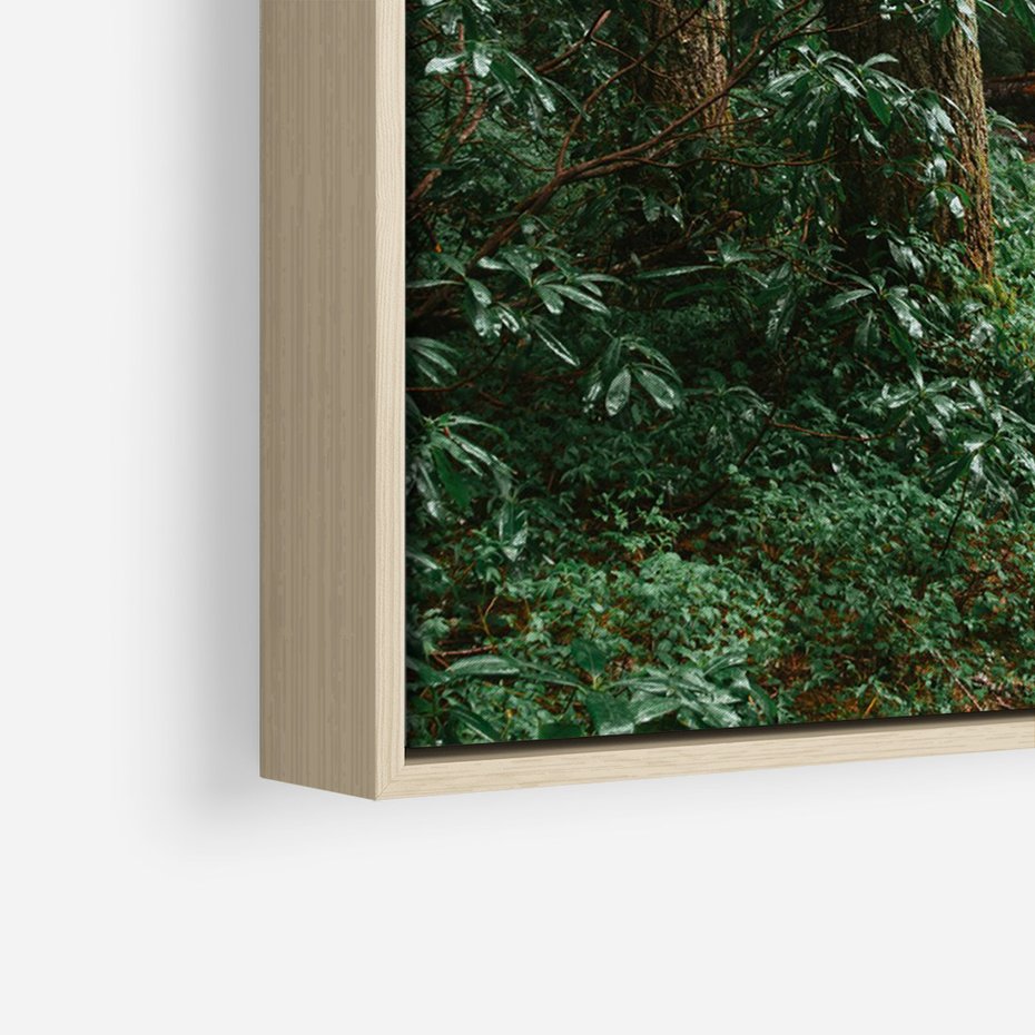 Obraz w ramie 70x100 - Mgliste Marzenia - artystyczna fotografia, las - rama drewno