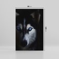 Obraz na płótnie 80x120 - Wilk i husky: siła przyjaźni - wilk, husky