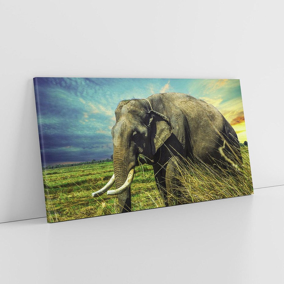 Obraz na płótnie 120x60 - Słoń w sawannie: Spotkanie z dziką przyrodą - słoń, sawanna