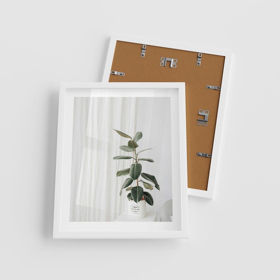 Plakat w ramie 40x50 - Kwiat w Bieli - kwiat w doniczce, białe wnętrze - rama biała