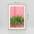 Plakat w ramie 50x70 - Fotografia Rośliny z Różowym Tłem - fotografia, zielona roślina na tle różwj ściany - rama drewno