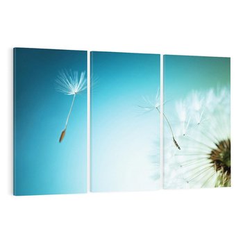 Obraz na płótnie 120x80 - Lekkość i Przemijanie - dmuchawiec, wiatr