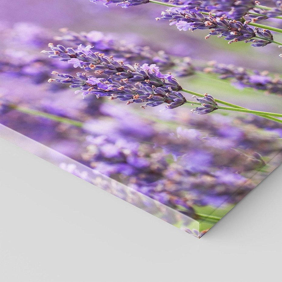 Obraz na płótnie 60x60 - Urok lawendy - lawenda, kwiaty