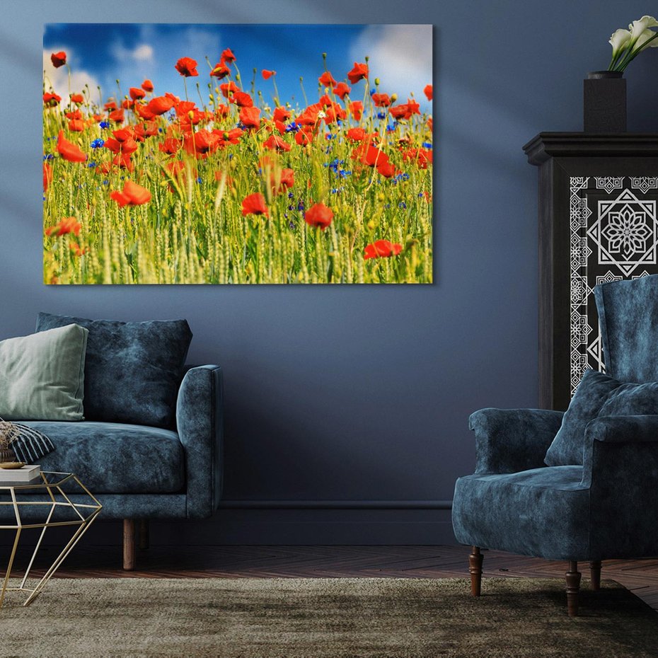 Obraz na płótnie 120x80 - Delikatne maki na kolorowej łące - mak, maki