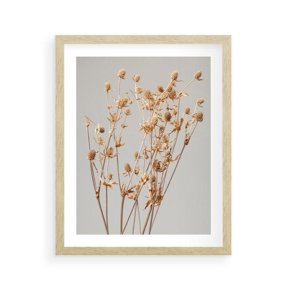 Plakat w ramie 40x50 - Delikatne gipsówki - gipsówka, suche - rama drewno