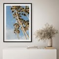 Plakat bez ramy 21x30 - Pod Niebem Palmy - palmy na niebieskim niebie