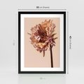 Plakat w ramie 30x40 - Delikatne piękno - suche, kwiaty - rama czarna