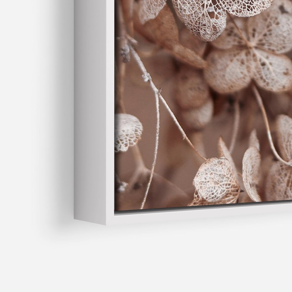 Obraz w ramie 70x100 - Przemijająca Piękność - fotografia, zbliżenie - rama biała