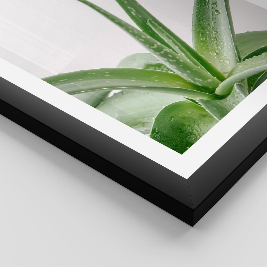 Plakat w ramie 30x40 - Zielone Piękno - aloes, liście - rama czarna