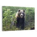 Obraz na płótnie 120x80 - Spotkanie z Niedźwiedziem w Lesie - niedźwiedź, las