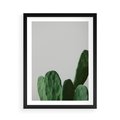 Plakat w ramie 50x70 - Majestatyczne Wysokości - kaktusy, liście - rama czarna