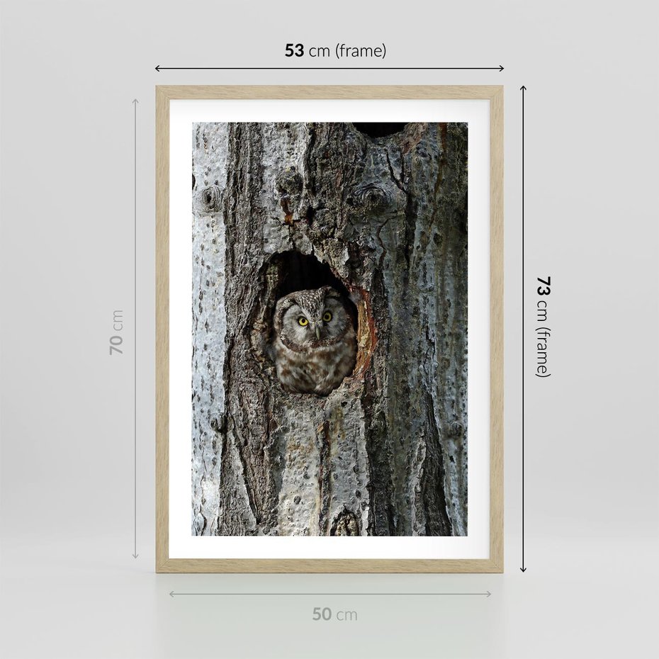 Plakat w ramie 50x70 - Tajemniczy W świecie Nocy - sowa, dziupla - rama drewno