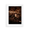 Plakat w ramie 30x40 - Gałęzie i Liść w Brązowej Tonacji - suche gałęzie, liść - rama biała