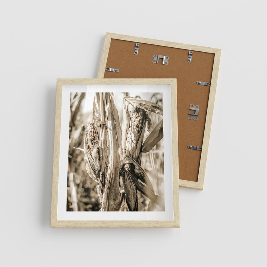 Plakat w ramie 40x50 - Retro Pole Kukurydzy - retro zdjęcie, sepia - rama drewno