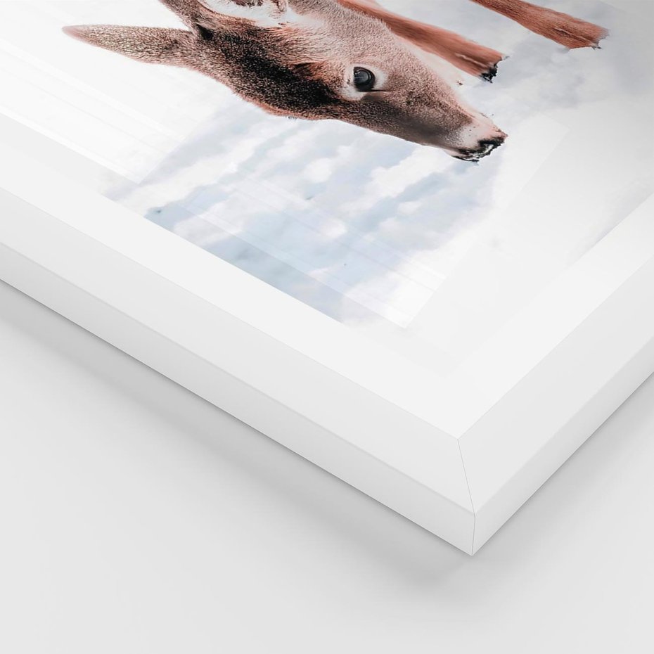 Plakat w ramie 40x50 - Sarna w Zimowym Raju - sarna, na śniegu - rama biała