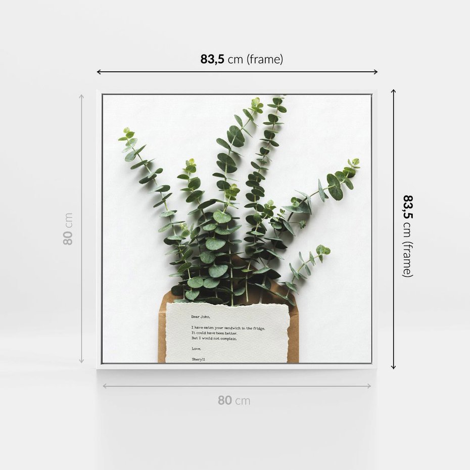 Obraz w ramie 80x80 - Eukaliptusowa harmonia - eukaliptus, liście - rama biała