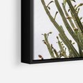 Obraz w ramie 50x70 - Ekskluzywna Roślinność - kaktusy, liście - rama czarna